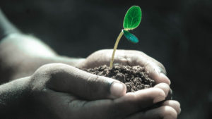 Another Example of our Growing Impact